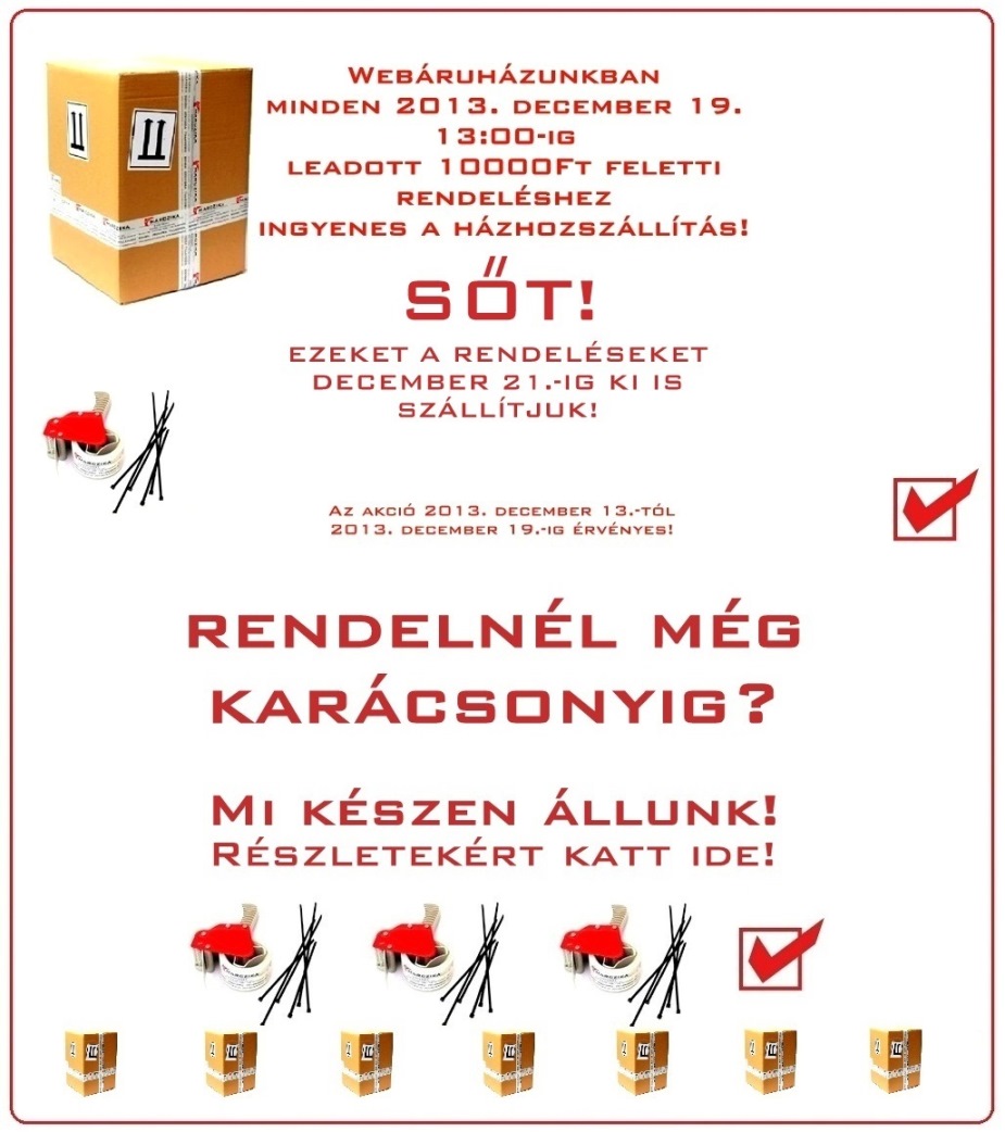 karacsony, karacsonyi ajandek, otlet, marczika, bonsai, orchidea, tillandsia, vasarlas, rendeles, hazhozszallitas karacsonyi bonsai orchidea es tillandsia akcio vasarlas rendeles hazhoz szallitas